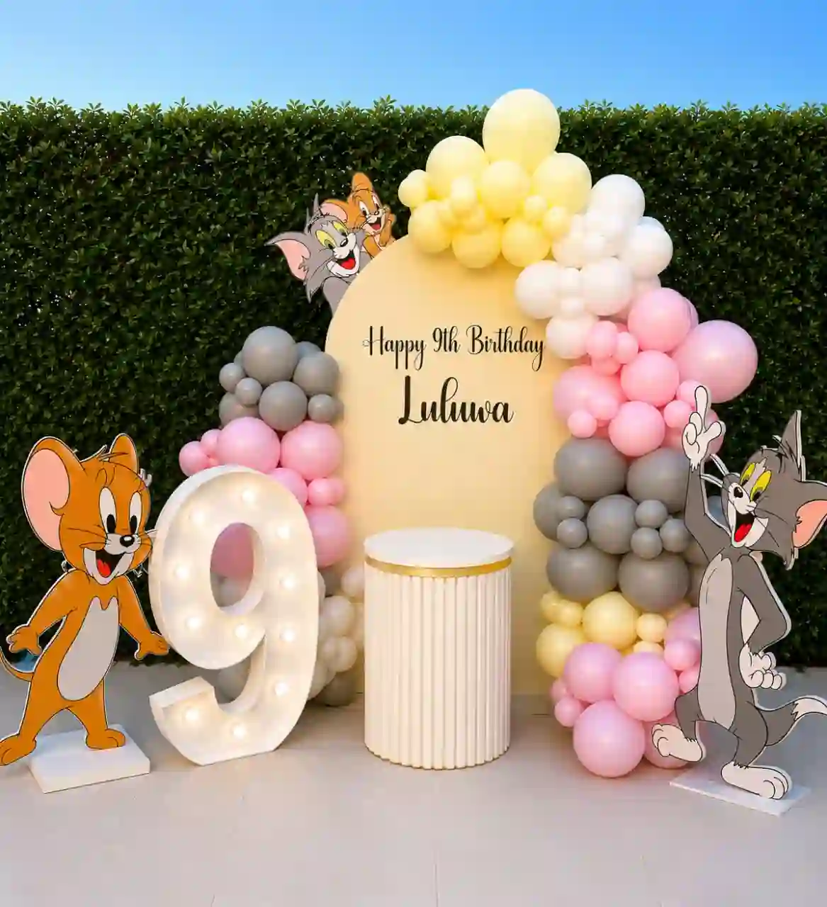 Cartoon Tom & Jerry Theme Birthday Decor